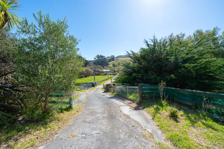 474A Makara Road Makara_34