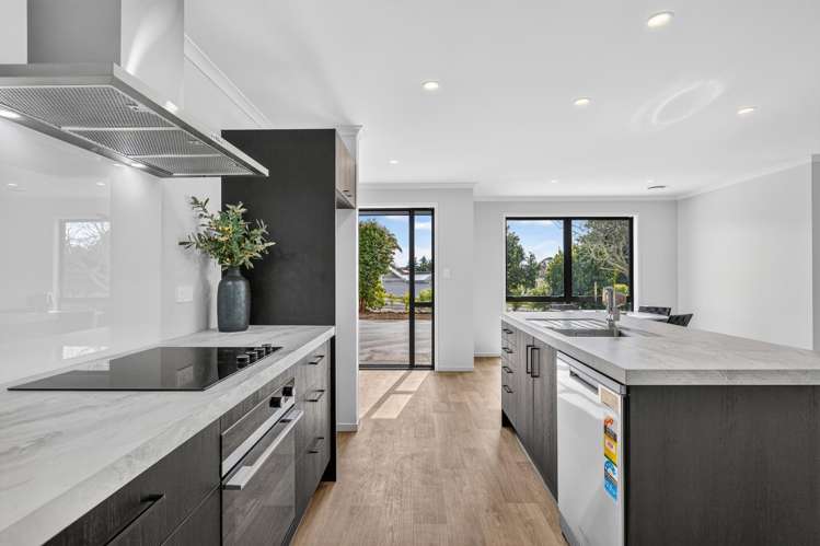 488a Thames Street Morrinsville_4