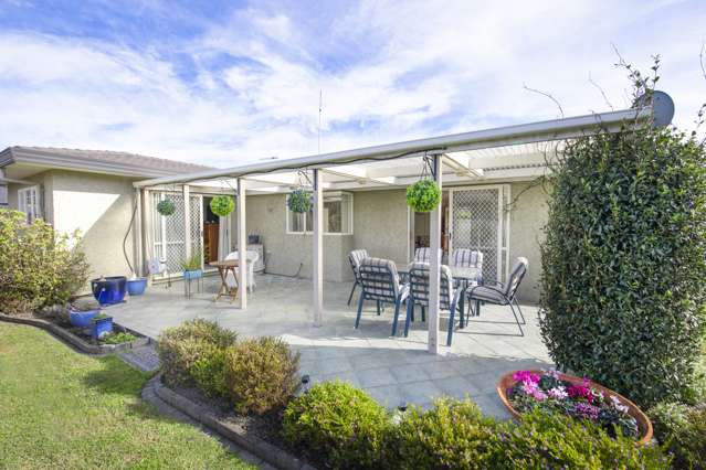 176a Guppy Road Taradale_1