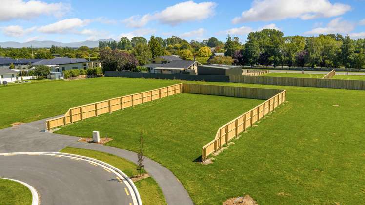 Carlisle Estate Tinwald_12