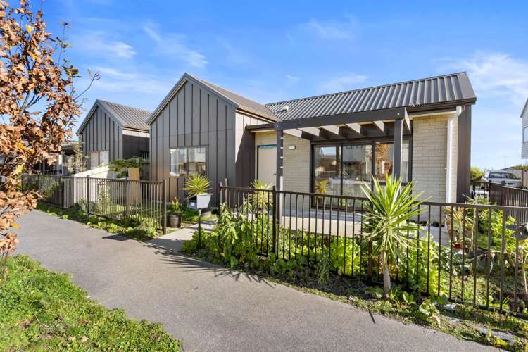 45 Black Beech Crescent Takanini_14