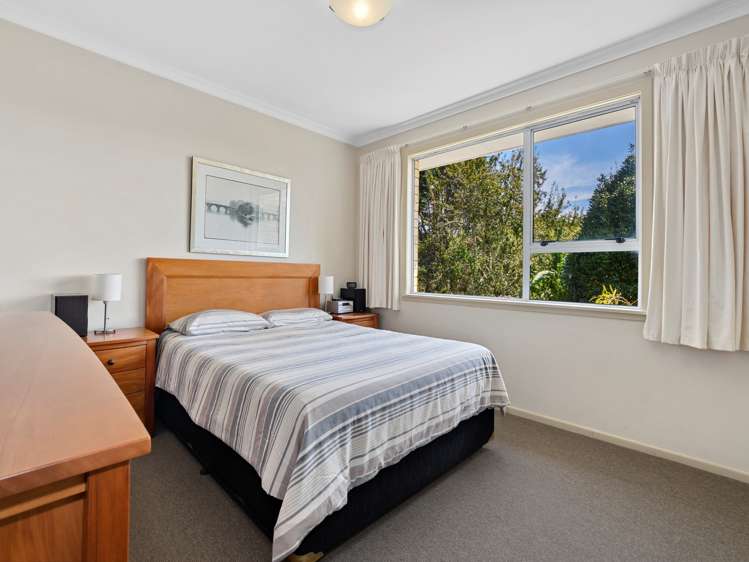 29 Whakamarama Road Whakamarama_11