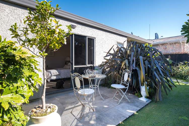 9a Kent Terrace Taradale_19