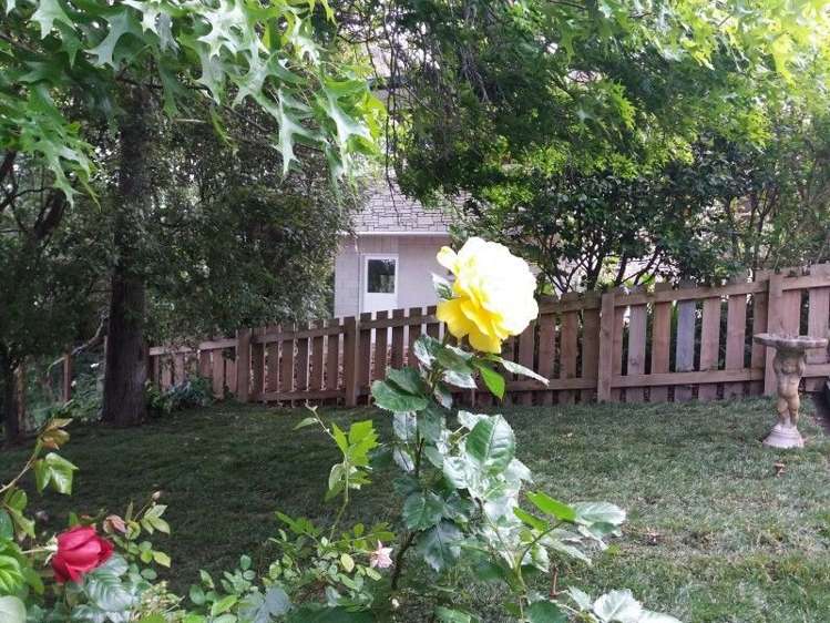 9 Windsor Road Waipawa_14