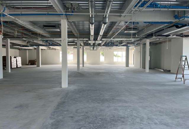 861 New North Road Mt Albert_1