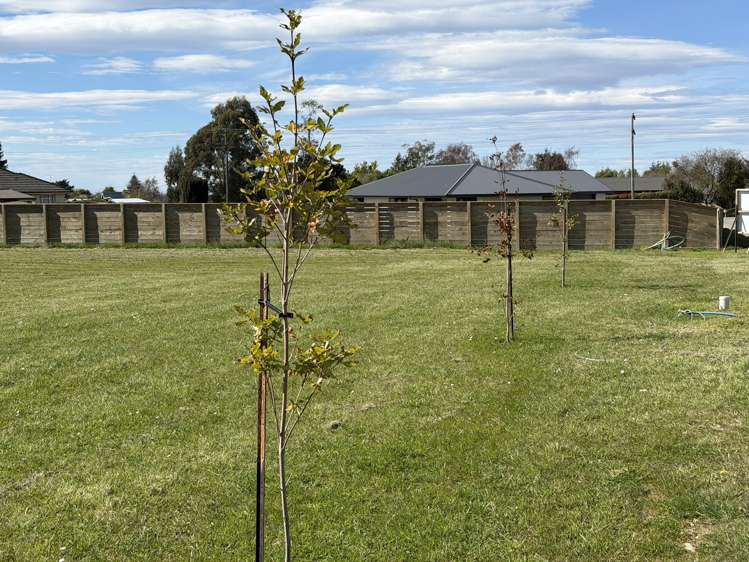 Lot 7 King Street_1