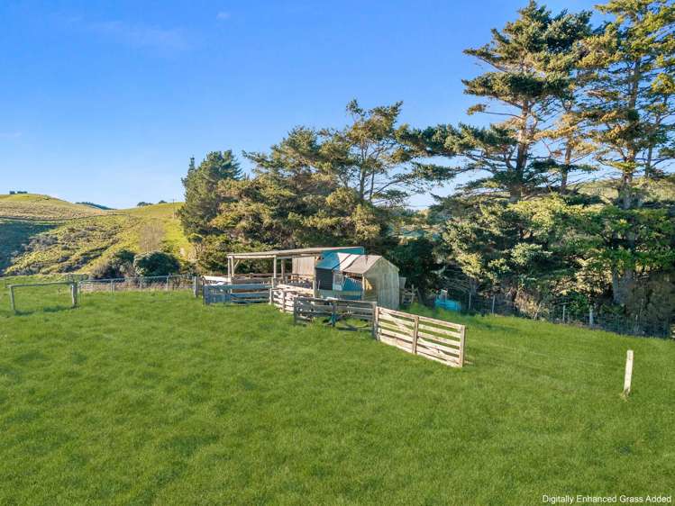 660 Cathedral Road Domett_28