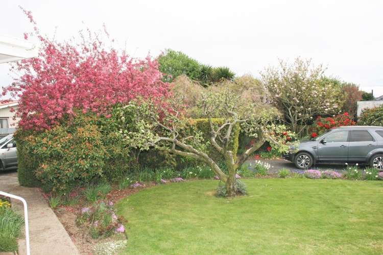 15 Eden Street Mosgiel_12