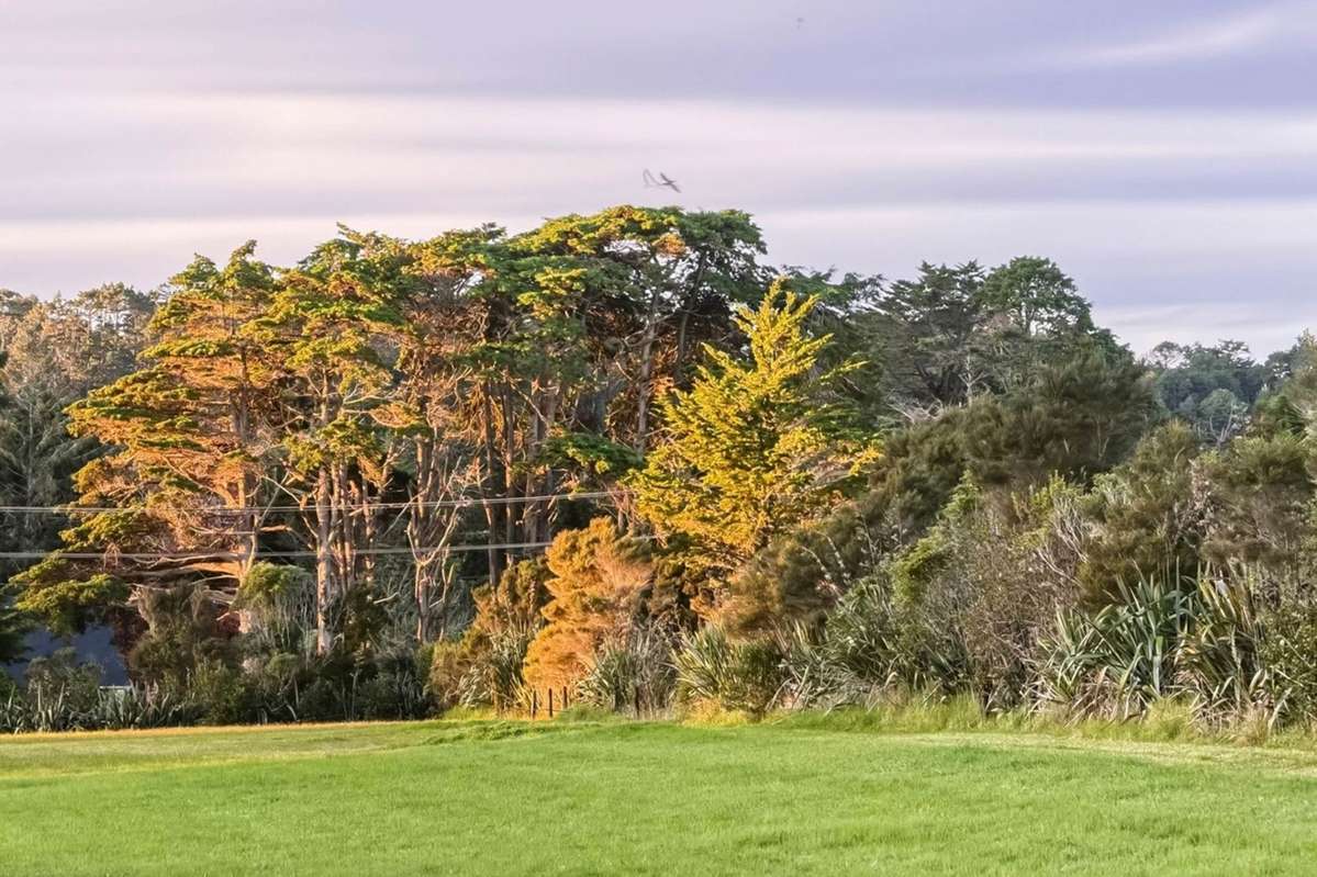 780 Swanson Road_4
