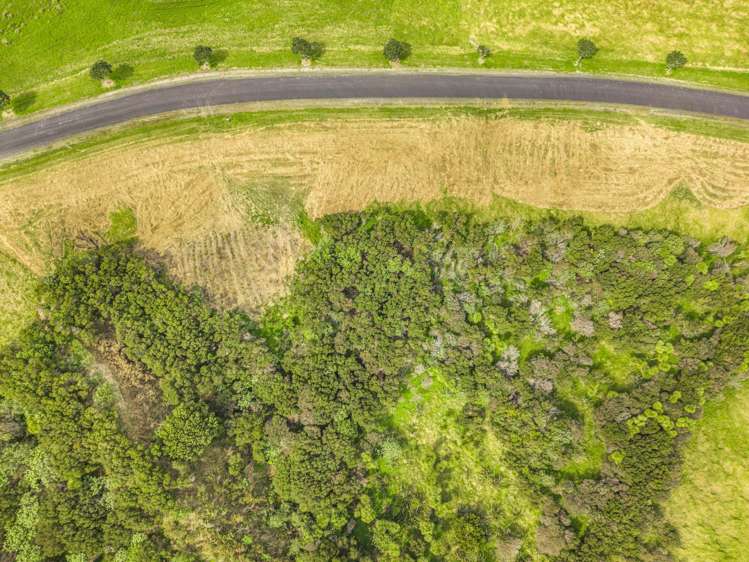 53 Hinamoki Drive Kaiwaka_4