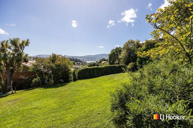 38 Spottiswoode Street Andersons Bay_2