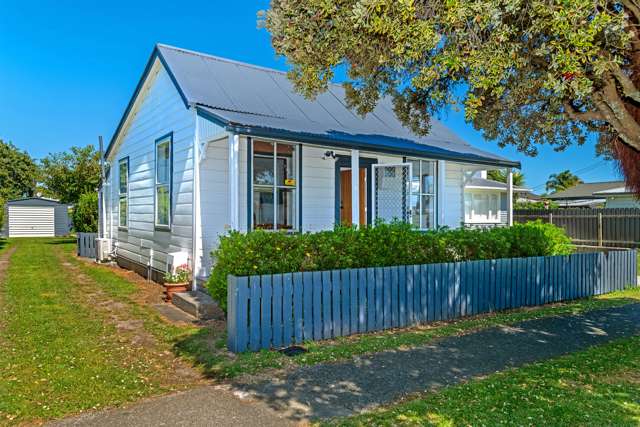 44 Albert Street Te Hapara_1