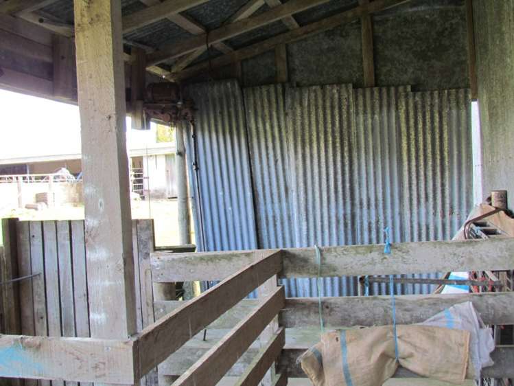 402 Youngson Road Whakamarama_7