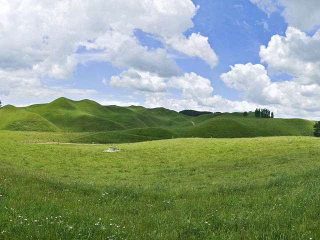 45 Matapan Road Atiamuri_1