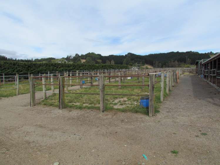 47 Wingatui Road Mosgiel_10