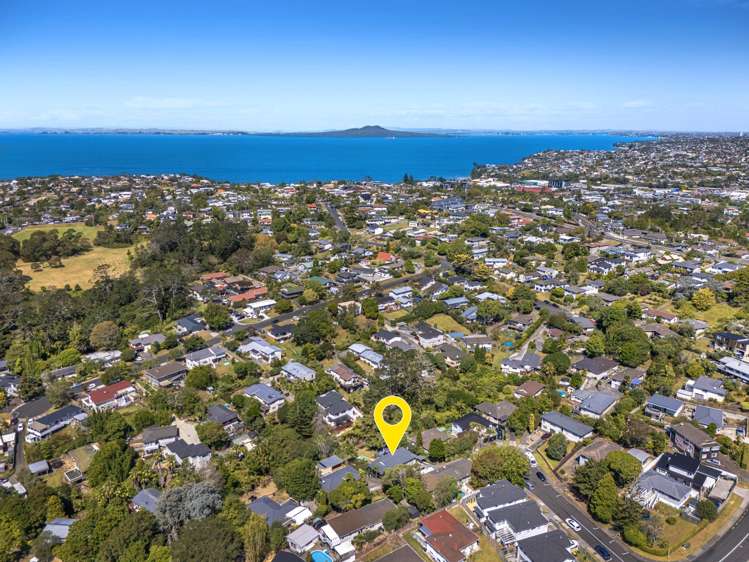 12 Airey Place Torbay_7