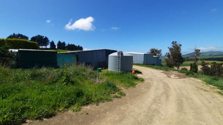 183 Gunn Road Waitepeka_21