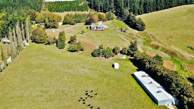 101 Bulls Road Sheffield_15