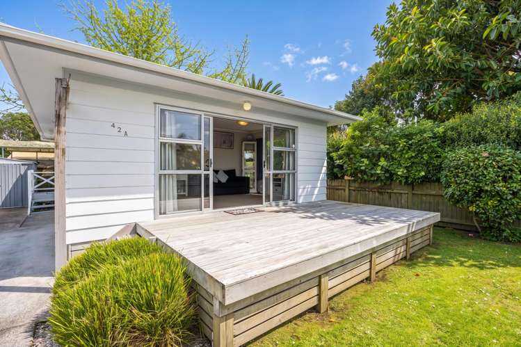42A Ladies Mile Manly_20