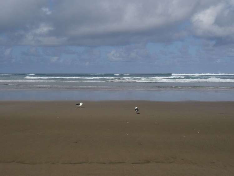 8 Tua Tua Place Dargaville Surrounds_9