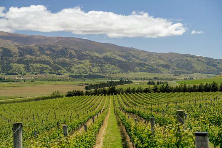 370 Bendigo Loop Road Bendigo_7