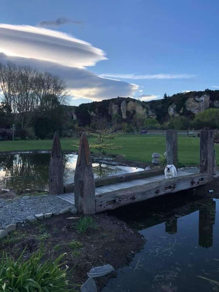 1346 Pleasant Point-Cave Highway Cave_13