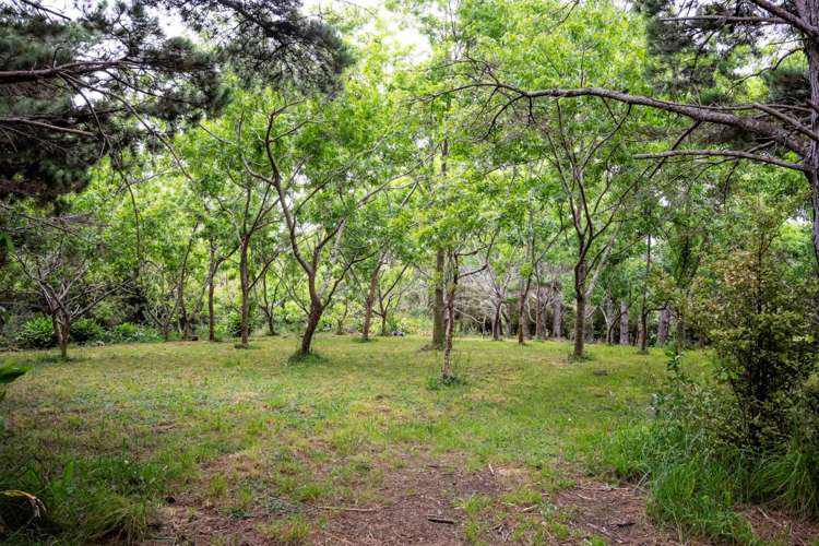 1041a Scenic Drive North Swanson_22