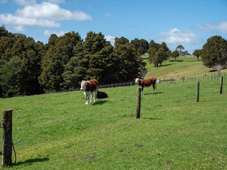 732 Waiare Road Kerikeri_13