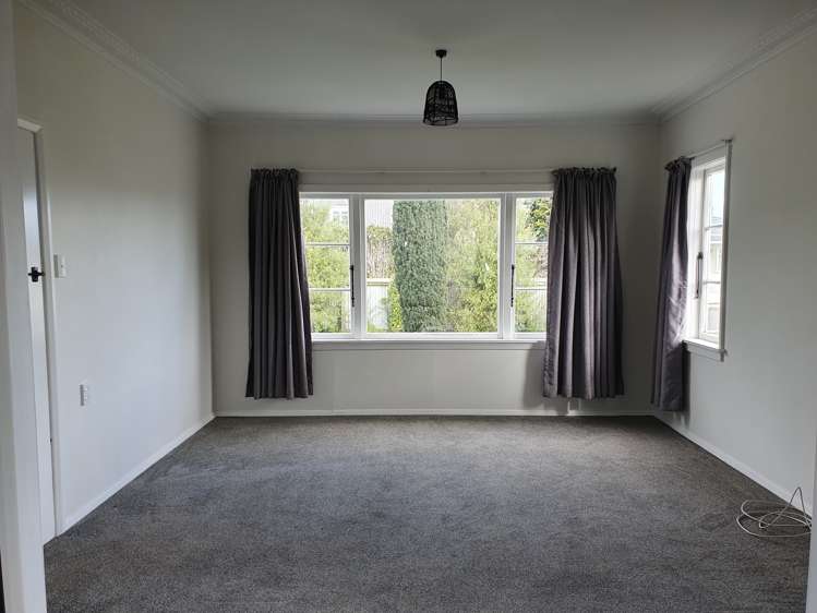 35 Wilton Street Levin_8