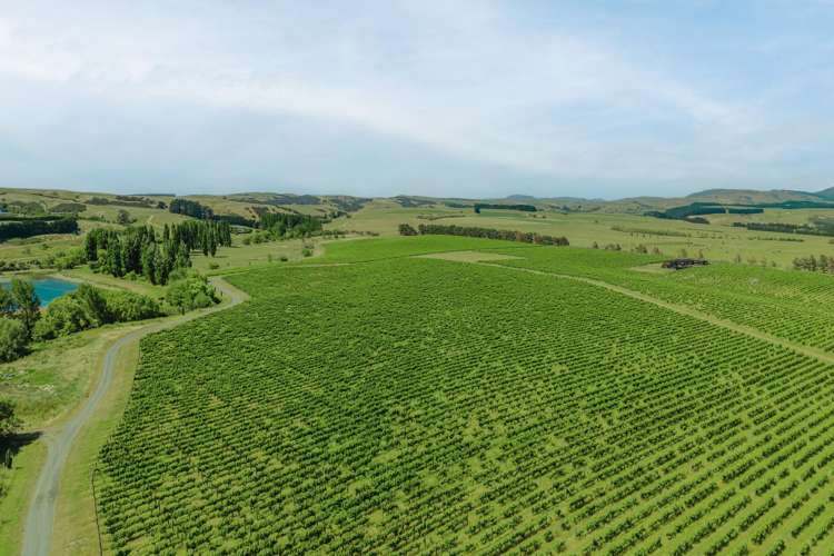 Lot 3 Willow Lane Martinborough_4