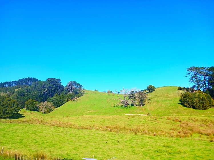 110 Diggers Valley Road Herekino_21