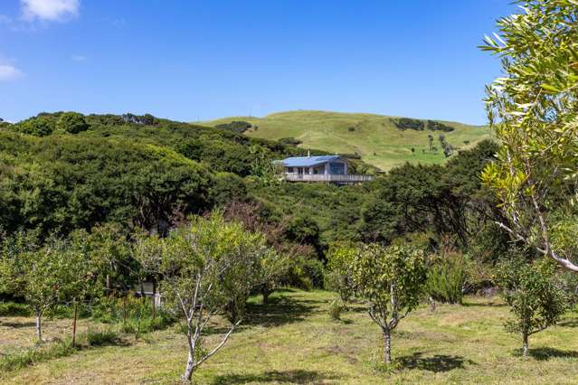 1574 Whaanga Road Raglan_1