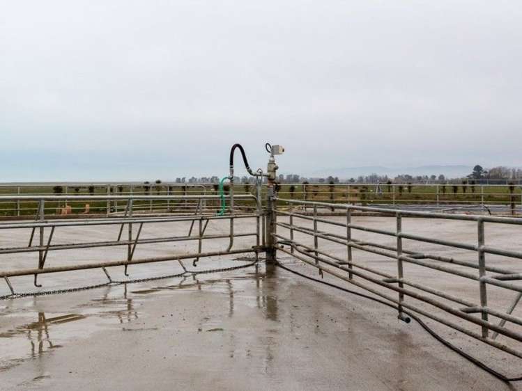 100 Hides Road Seadown_7