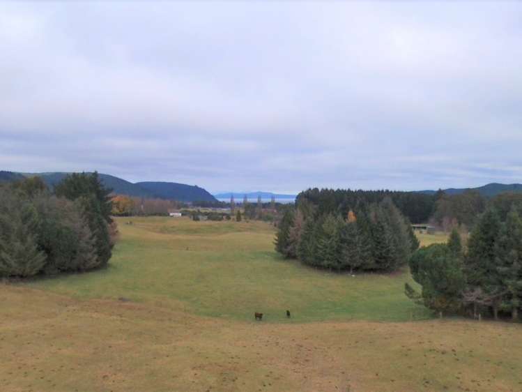 726 Whangamata Road Kinloch_1