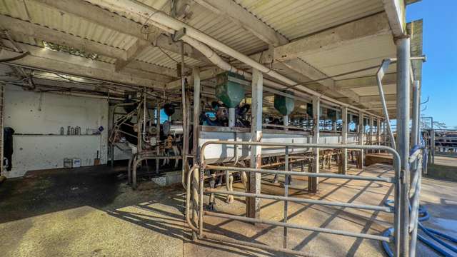 202 Rotokohu Road Paeroa_4