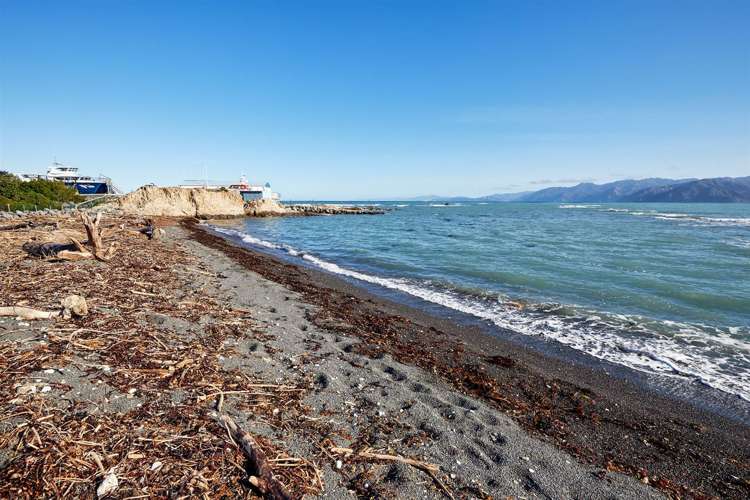 4 Moa Road Kaikoura_11