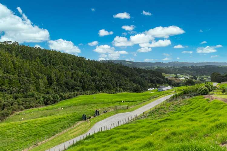 65 Moses Road Kaukapakapa_31