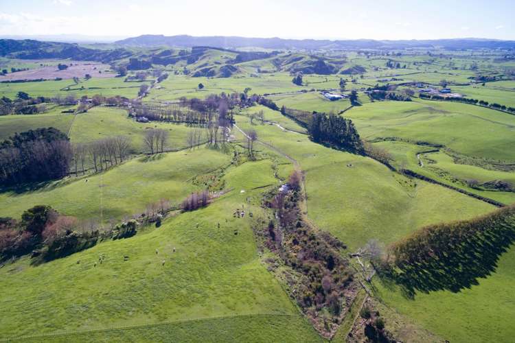 796 Waerenga Road Waerenga_19