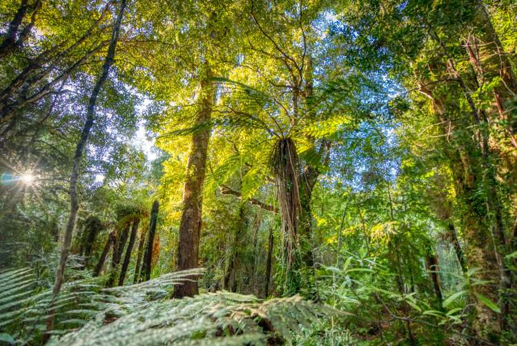 Haydens Road Marsden_17