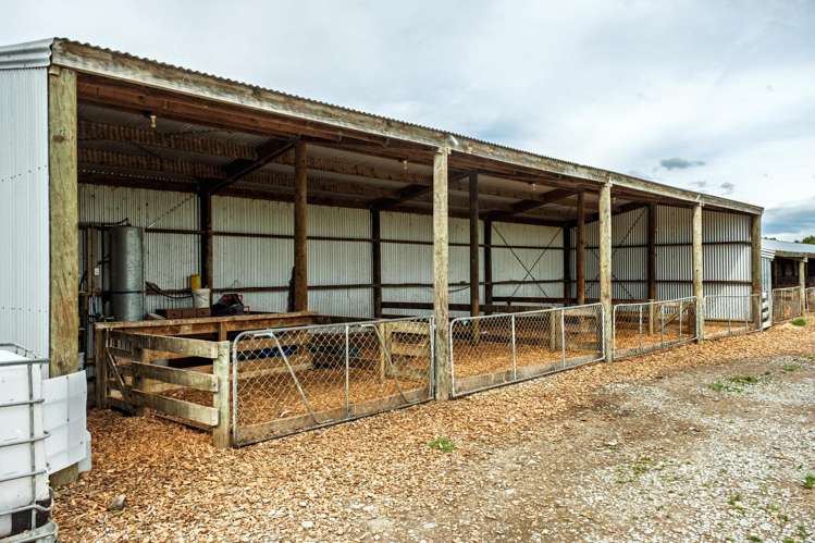 52 White Road Milford_13