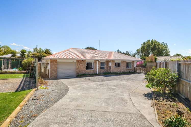 124 Wills Road Katikati_12