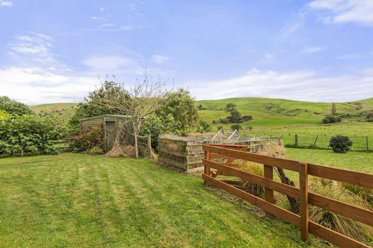 853 Tahuroa Road Morrinsville_33