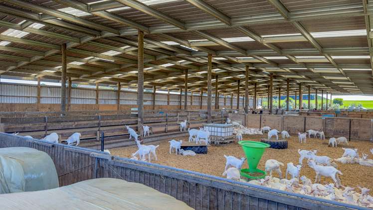 61 Cuff Road Kingseat_18