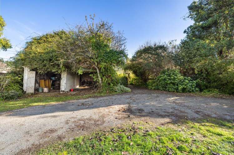 18 Bloomfield Street Leithfield_11