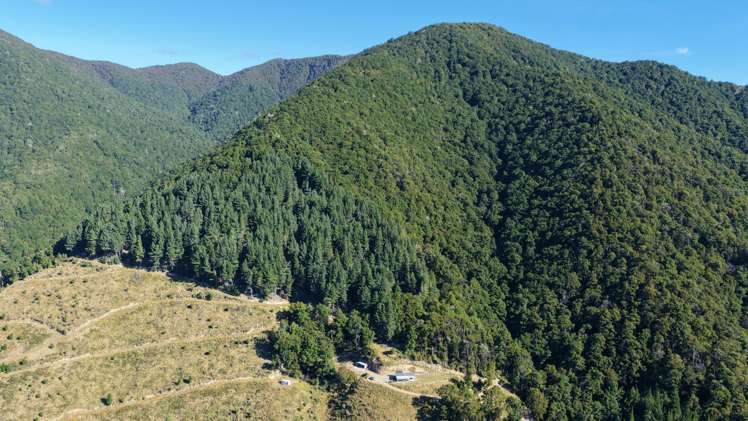 291 Braeburn Track Braeburn Range_17