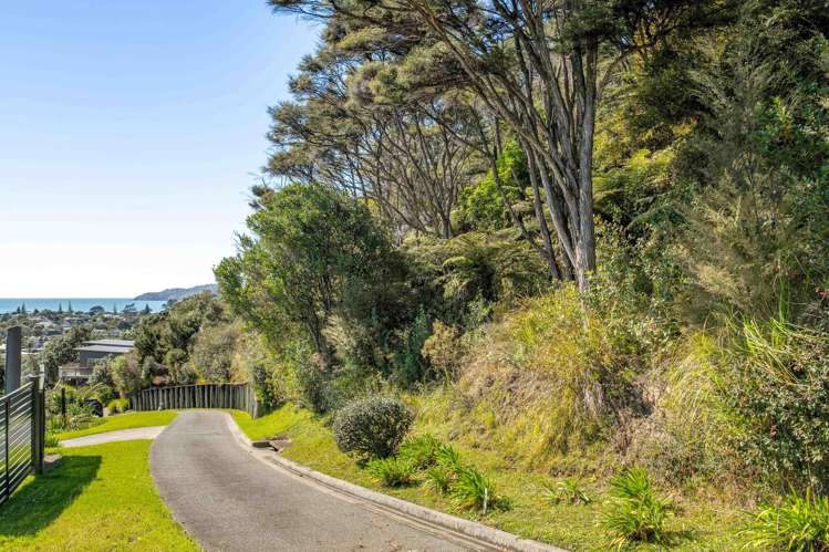 1206F Hikuai Settlement Road Pauanui_6
