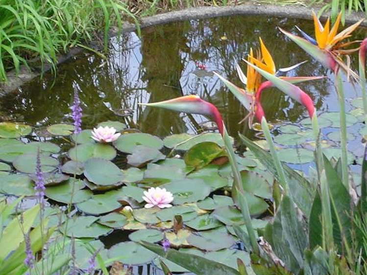 292 Lindemann Road Hauraki Surrounds_19