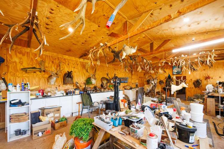 359 Newbury Line Newbury_40