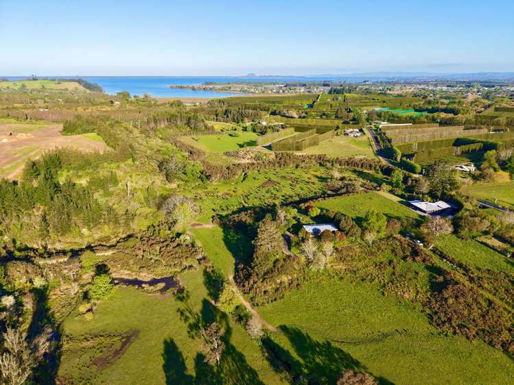 74B Willoughby Road Katikati_7