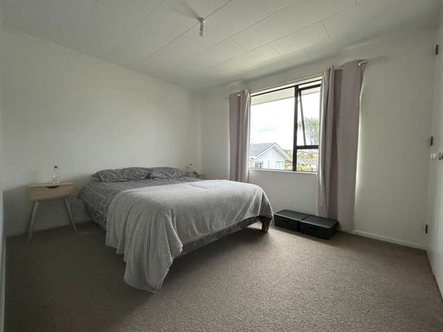 116a Awaruku Road Torbay_3